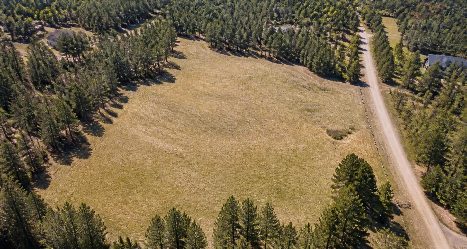 Aerial view of a large vacant land parcel bordered by trees